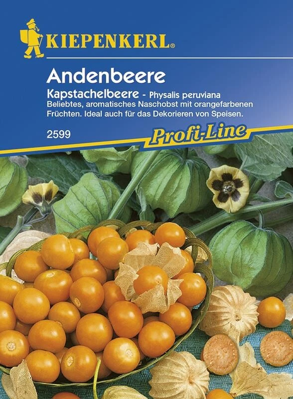 Andenbeeren Kapstachelbeere (Physalis Peruviana), Enthalten Viel Mineralstoffe Und Pepsin – Bild 2