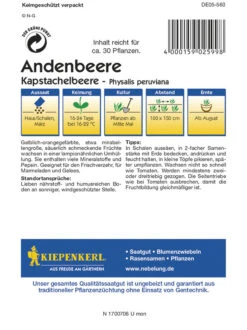 Andenbeeren Kapstachelbeere (Physalis Peruviana), Enthalten Viel Mineralstoffe Und Pepsin