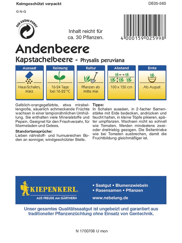 Andenbeeren Kapstachelbeere (Physalis Peruviana), Enthalten Viel Mineralstoffe Und Pepsin