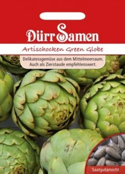 Artischocken Green Globe