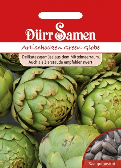 Artischocken Green Globe