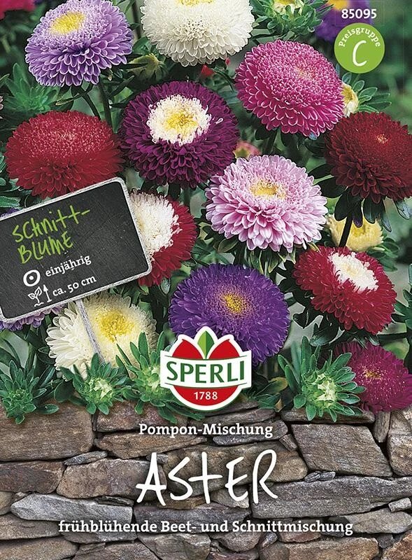 Astern Pompon Mischung (Sommerastern), Haltbare Schnittblume, Einjährig, Höhe Ca. 50 Cm