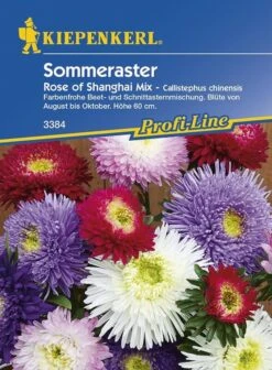 Astern Rose Of Shanghai Mix