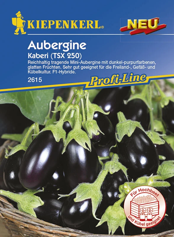 Aubergine Kaberi – Bild 2