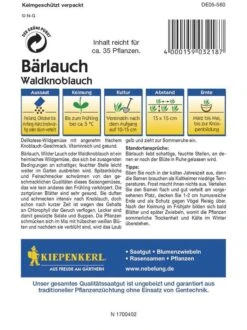 Bärlauch Waldknoblauch Allium Ursinum
