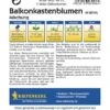 Balkonkastenblumen Mischung