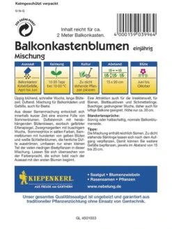 Balkonkastenblumen Mischung