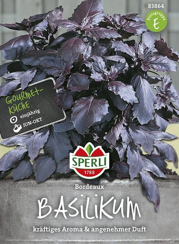 Basilikum Bordeaux
