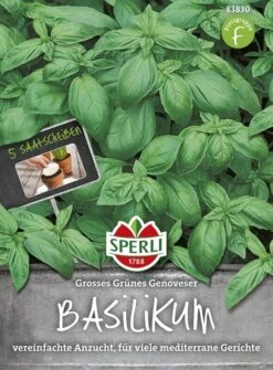 Basilikum Genoves. 5 Saatscheiben