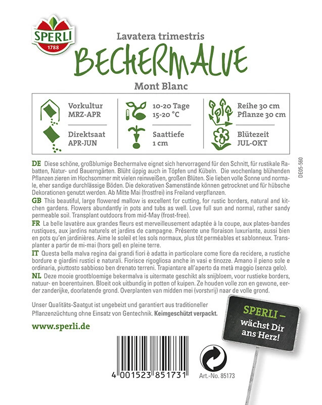 Bechermalve Mont Blanc