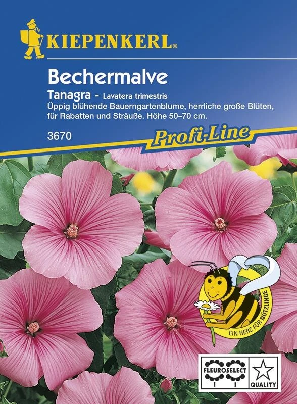 Bechermalve Tanagra Rosa, Herrlich Große Blüten Für Rabatten Und Sträuße, Samenfest – Bild 2