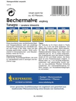 Bechermalve Tanagra Rosa, Herrlich Große Blüten Für Rabatten Und Sträuße, Samenfest