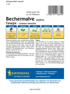 Bechermalve Tanagra Rosa, üppig Blühende Bauerngartenblume, Nektarspender, Schnittblume