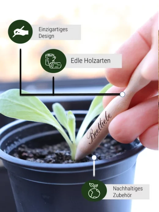 Beetliebe Pikierstab Aus Holz - Mehrere Holzarten Auswählbar – Bild 2