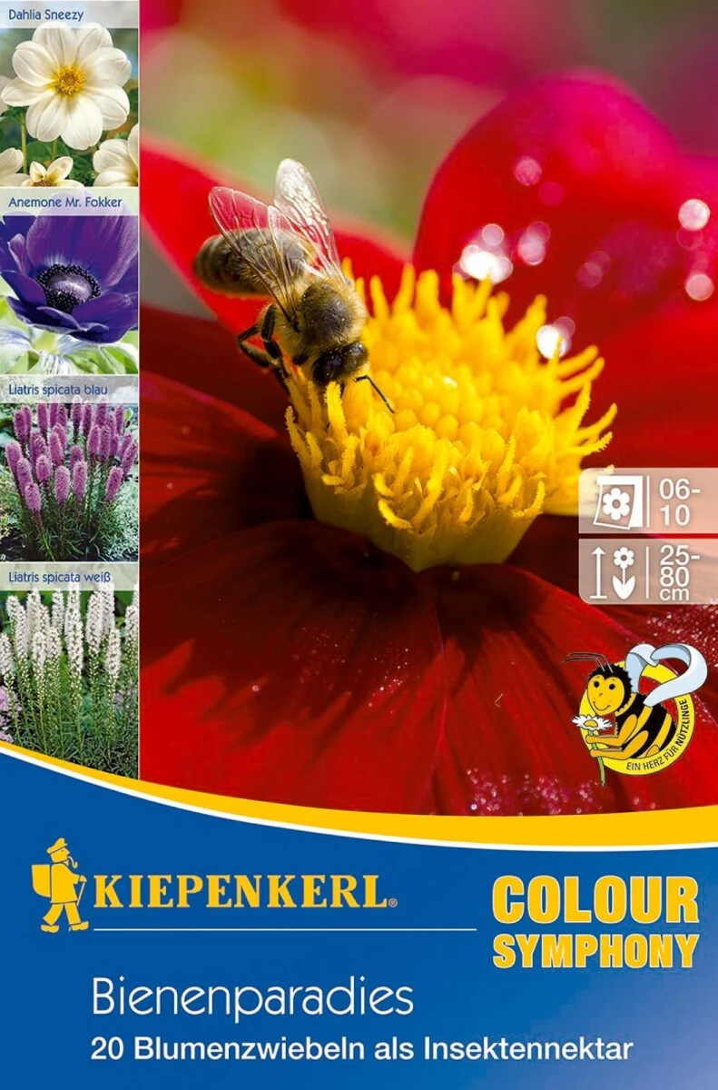 Bienenparadies (Mega Pack), Mischung Aus Vielen Insektenfreundlichen Frühjahrsblumenzwiebeln, Nektarspender, Mehrjährig