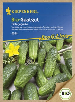 BIO Einlegegurken Traubengurken Diamant F1 Parthenocarp Tolerant Biosaatgut