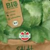 BIO Eissalat, Eignet Sich Für Den Sommeranbau, Schossfest Und Widerstandsfähigkeit, Lange Erntbar