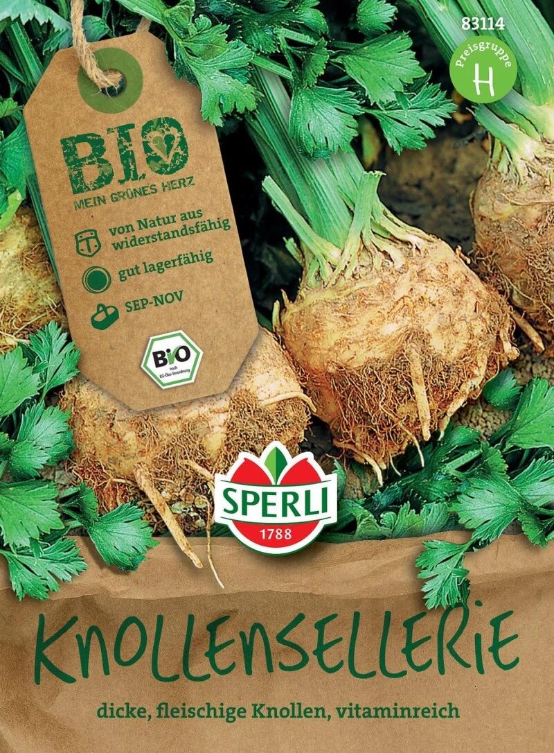 BIO Knollensellerie, Bund- Und Knollensellerie Bildet Dicke Fleischige Grün-weiße Knollen, Widerstandsfähig, Sehr Gute Lagerfähigkeit – Bild 2