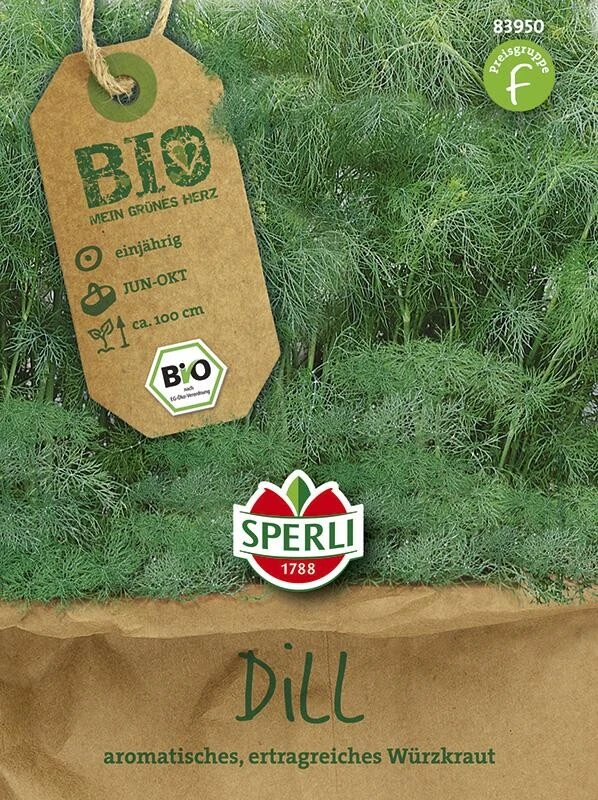 BIO Kräuter Dill – Bild 2