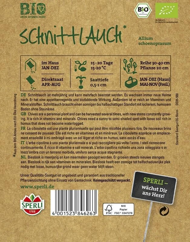 BIO Kräuter Schnittlauch – Bild 2