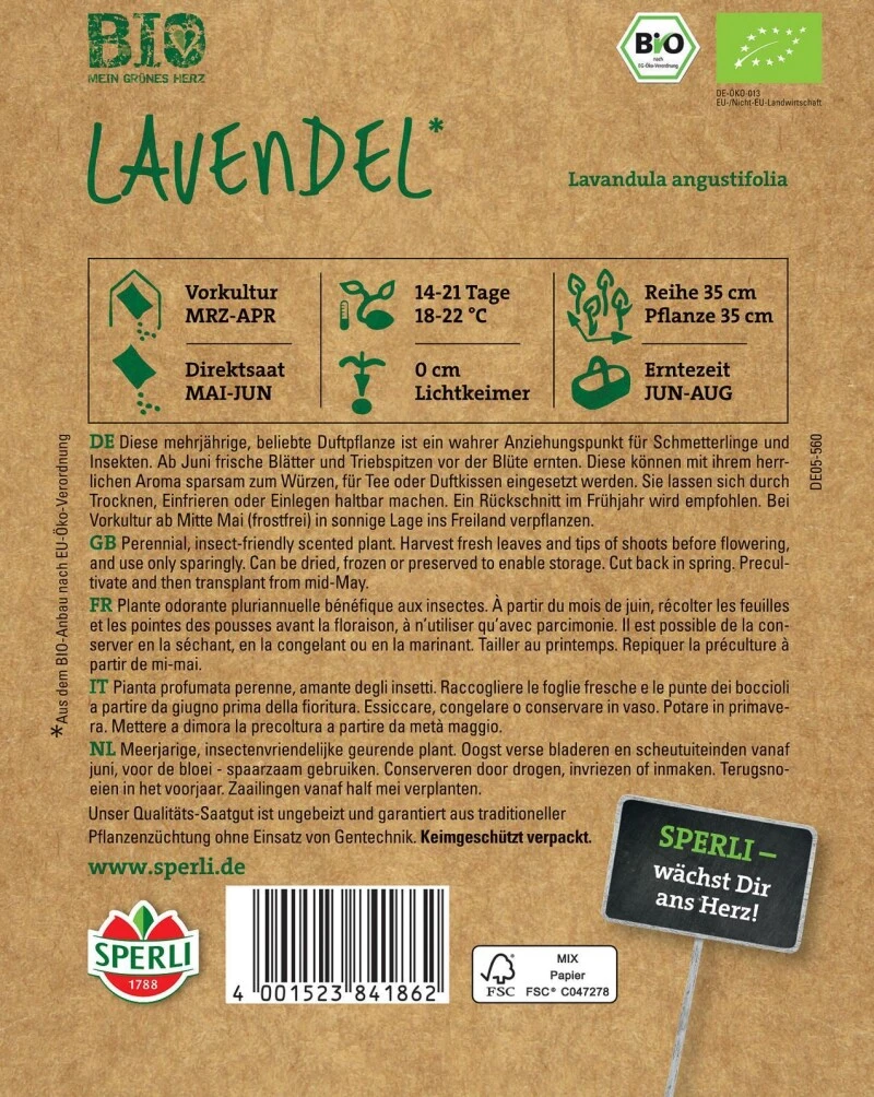 BIO Lavendel, Mehrjährige Beliebte Duftpflanze Ist Ein Wahrer Anziehungspunkt Für Schmetterlinge Und Insekten – Bild 3