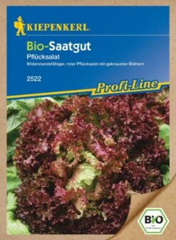 BIO Roter Pflücksalat Lollo & Rosso Widerstandfähig