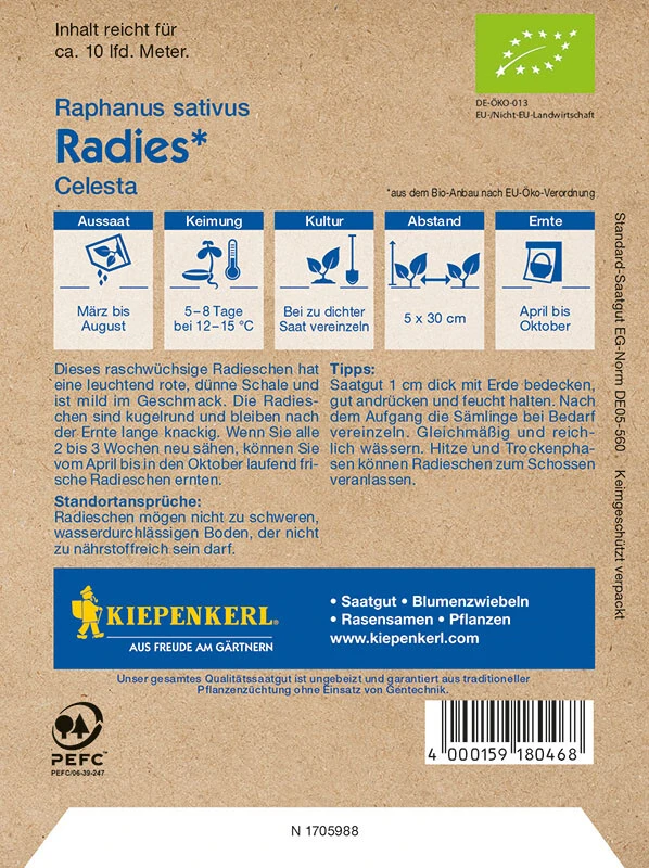 BIO Radies, Rot – Bild 2