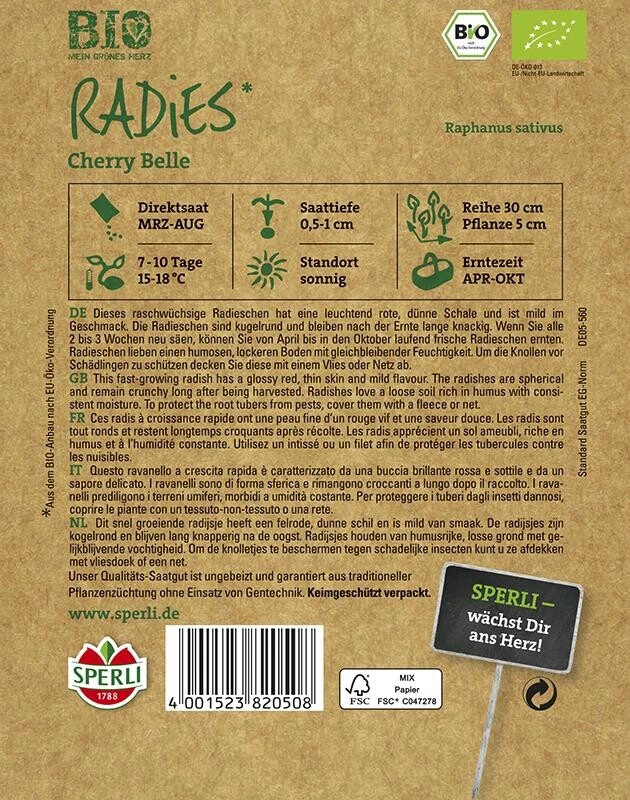 BIO-Radies Rund, Robuste Sorte Für Die Ganze Freilandsaison, Raschwüchsig – Bild 2