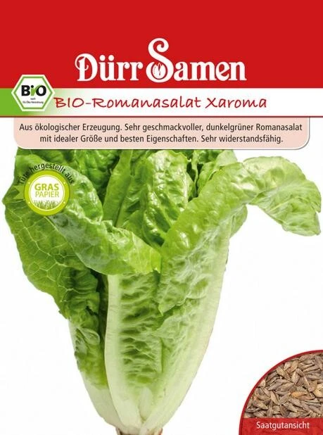 BIO Romana-Salat Xaroma Genügsam Und Pflegeleicht – Bild 2