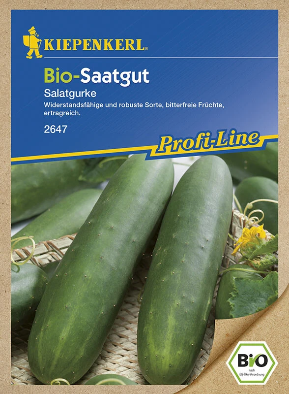 BIO Salatgurken Bio-Saatgut – Bild 2