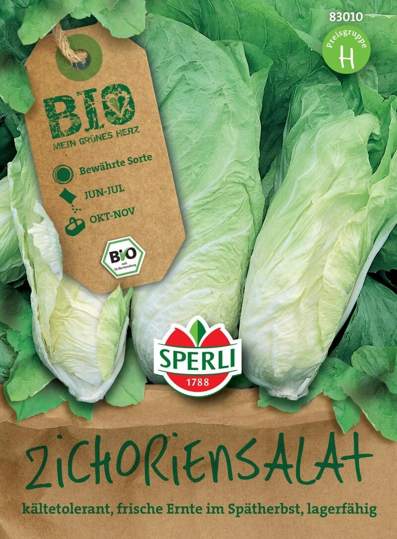 BIO Zichoriensalat, Bildet Im Spätherbst Feste Tütenförmige Köpfe, Lange Lagerfähigkeit – Bild 3