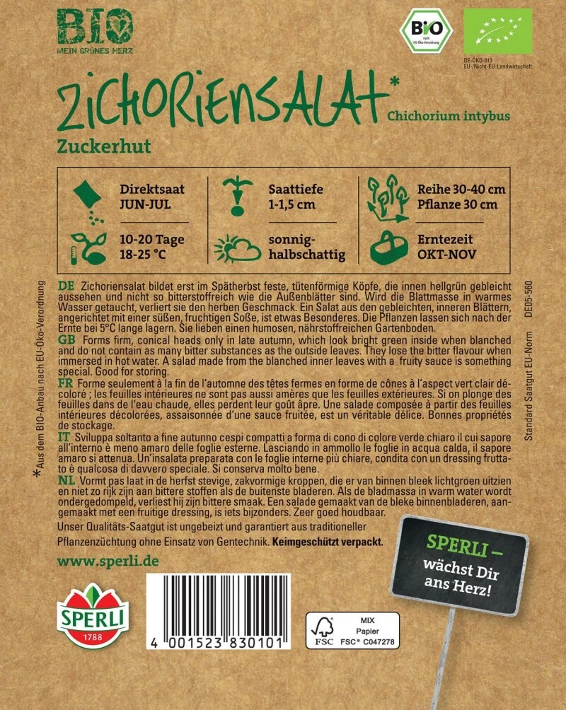 BIO Zichoriensalat, Bildet Im Spätherbst Feste Tütenförmige Köpfe, Lange Lagerfähigkeit – Bild 2