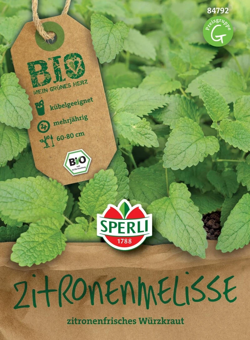 BIO Zitronenmelisse, Mehrjähriges Starkwüchsiges Würzkraut, Buschiger Und Verzweigter Wuchs – Bild 3