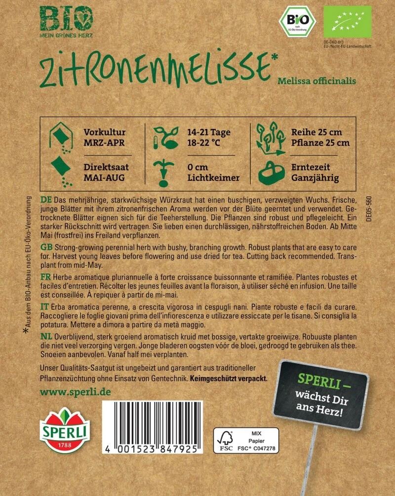 BIO Zitronenmelisse, Mehrjähriges Starkwüchsiges Würzkraut, Buschiger Und Verzweigter Wuchs – Bild 2