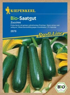 BIO Zucchini F1, Frühe Widerstandsfähige Sorte Mit Grünen Zylindrischen Früchten