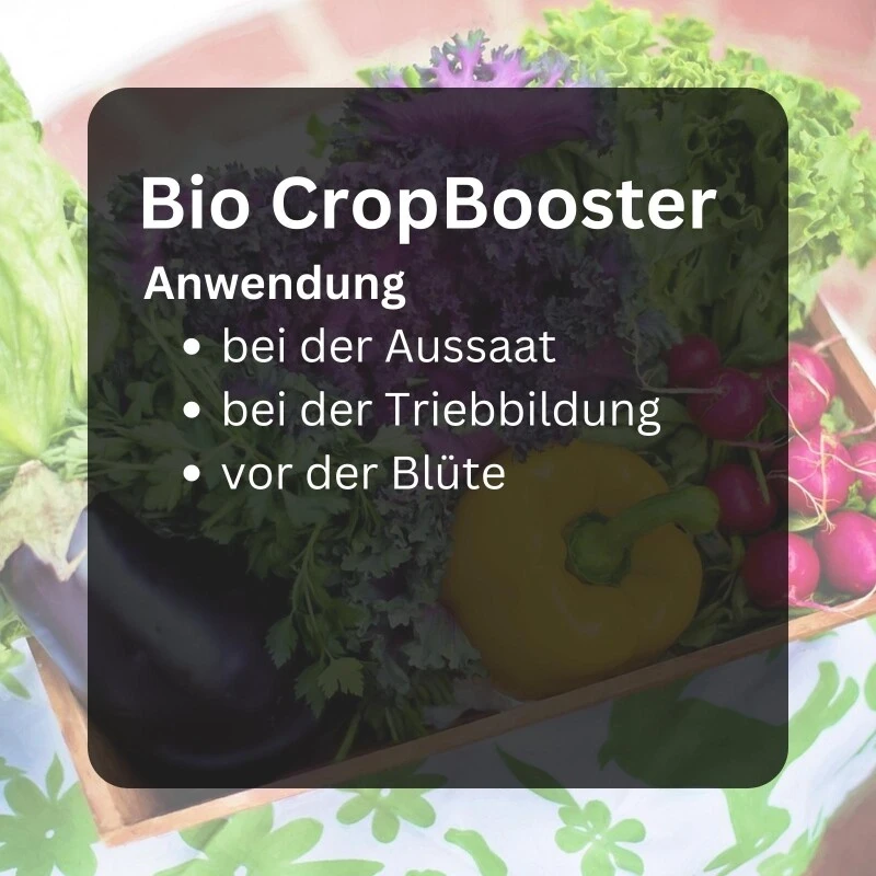 BioCropBooster 500 Ml Einzigartiger Biozertifizierter Kaliumdünger – Bild 2