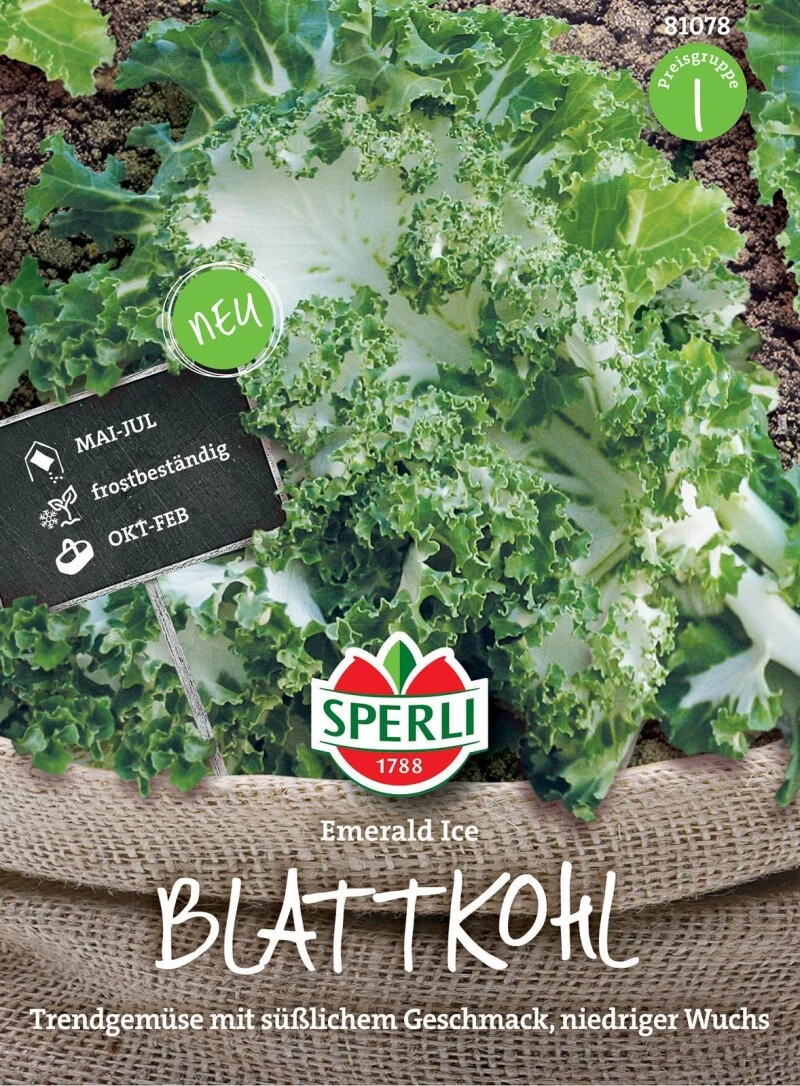 Blattkohl Emerald Ice, Aufrecht Wachsender Kohl Mit Gekräuselten Grün-weißen Blättern, Langer Erntezeitraum – Bild 2