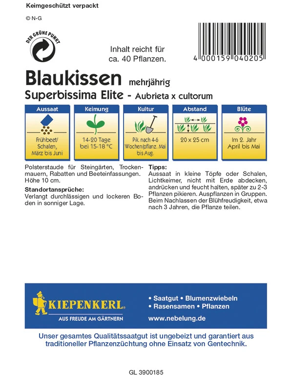 Blaukissen Superbissima Elite | Zwei- Und Mehrjährig | Polsterstaude | Steingärten Und Rabatten