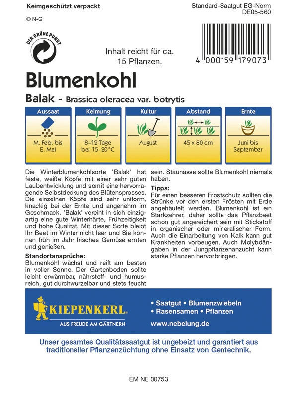 Blumenkohl Ballak – Bild 2