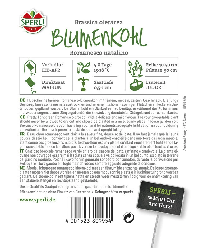 Blumenkohl Romanesco Natalino