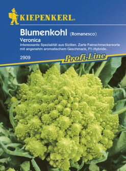 Blumenkohl Romanesco Veronica Grün Pyramidenförmig Resistent