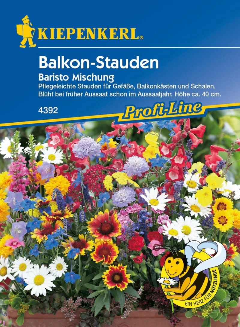 Blumenmischung Balkon-Stauden Baristo, Pflegeleichte Stauden, Höhe Ca. 40cm