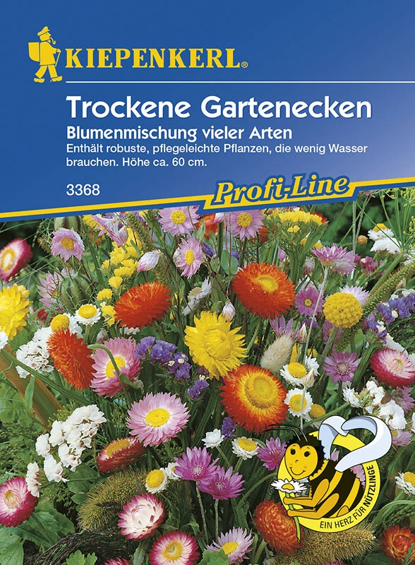 Blumenmischung Trockene Gartenecken, Wachsen Und Blühen Auch An Trockenen Problemstandorten – Bild 2