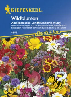 Blumenmischung Wildblumen Amerikanische Landblumen |für 3 - 5 M² | Zur Reinaussaat Auf Beeten
