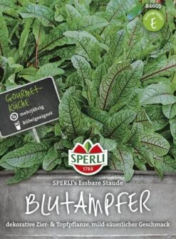 Blutampfer SPERLING`s Essbare Staude