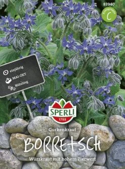 Borretsch Gurkenkraut | Einjährige Gewürz- Und Heilpflanze | Nektarspender Für Nützlinge