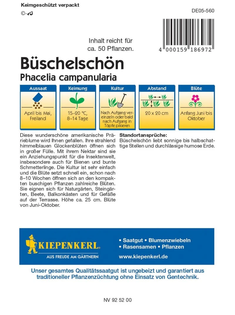 Büschelschön, Beliebte Gartenpflanze Mit Intensiv Blauen Blüten, Für Balkonkästen Und Kübel Geeignet – Bild 3