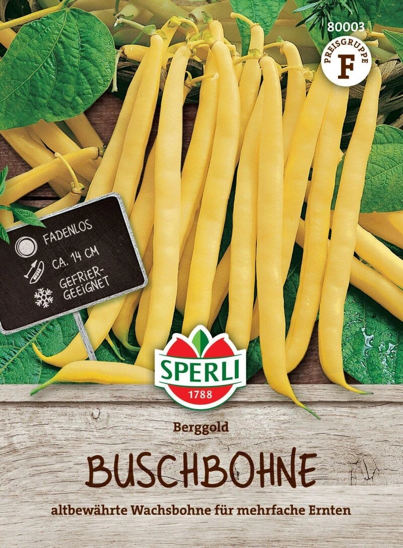 Buschbohne Berggold | Altbewährte Gelbe Wachsbohne | Fadenlos Gefriergeeignet |mehrfache Ernten