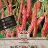 Buschbohne Borlotto Rosso, Trockenkochbohne, Saatgut Von Sperli