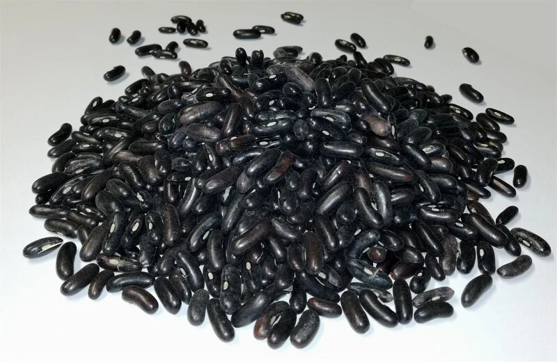 GardenTaurus® Buschbohne Delinel (Filetbohne) Besonders Reichtragend, Unempfindlich Gegen Viele Krankheiten